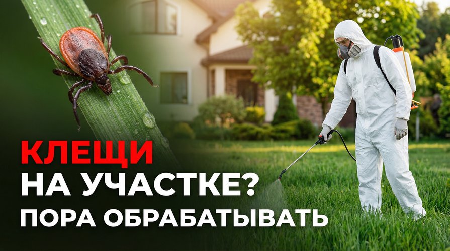 Клещи на участке